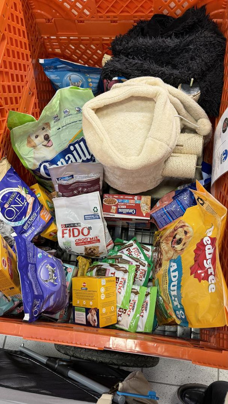 [Image: IMG-5187.jpg]