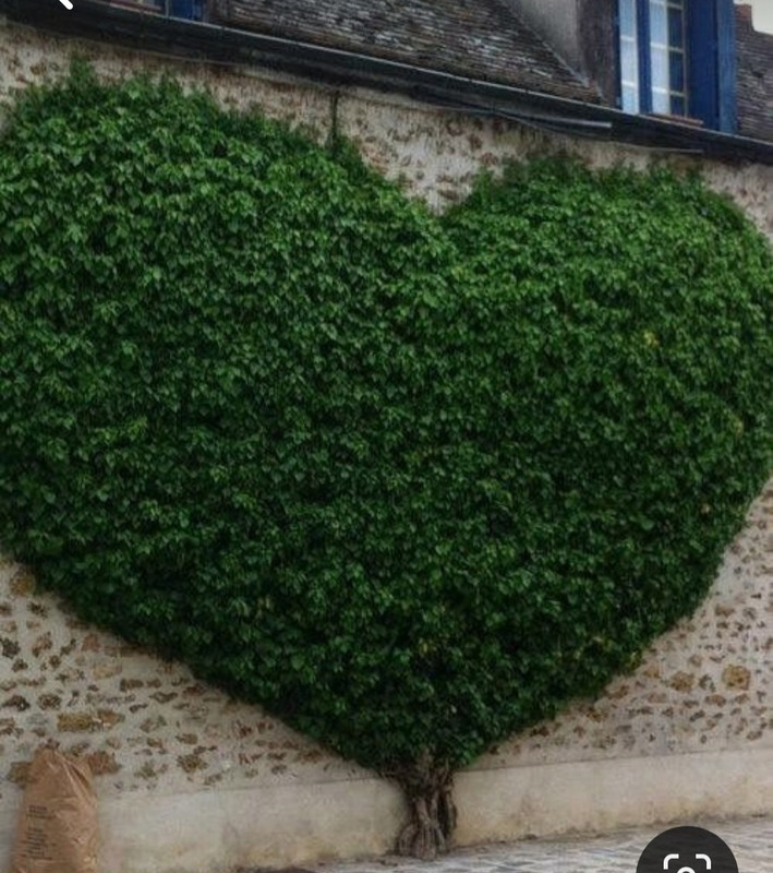 Screenshot_20240212_002418_Pinterest