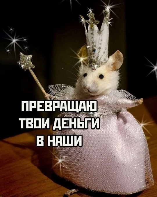 spacer.png
