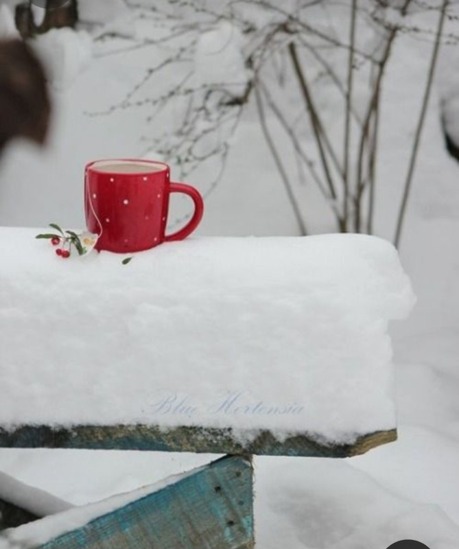 Screenshot_20230403_230431_Pinterest