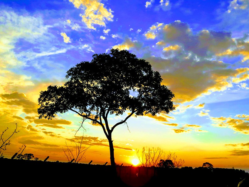 yellow-sunset.jpg