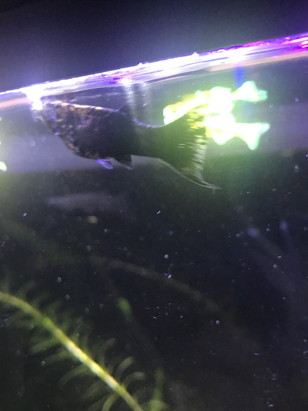 F9552657-9B16-4308-8602-EBC085531112