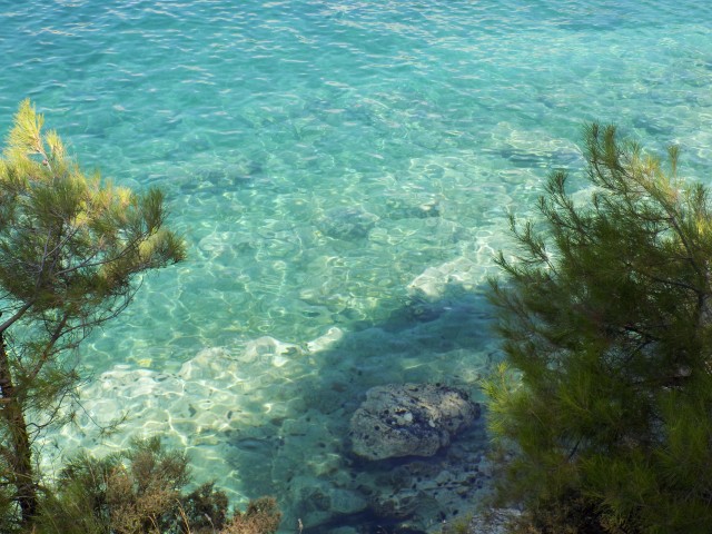 Slika