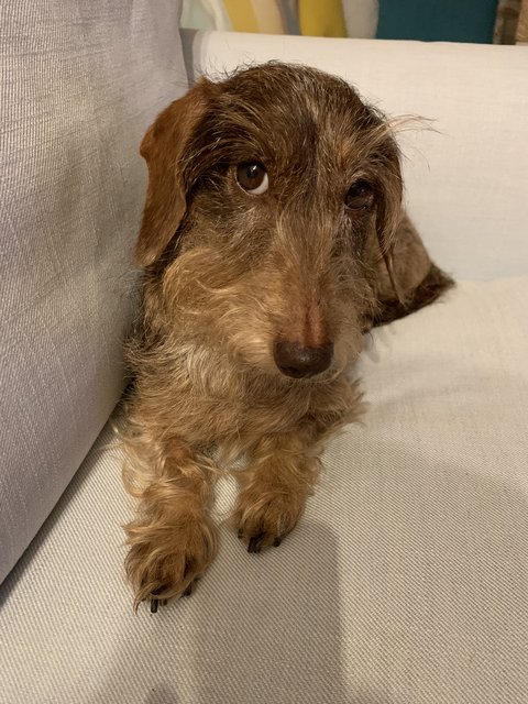 [Image: 4-D390-E13-830-F-4413-AD36-CCDEF7-C316-FD.jpg]