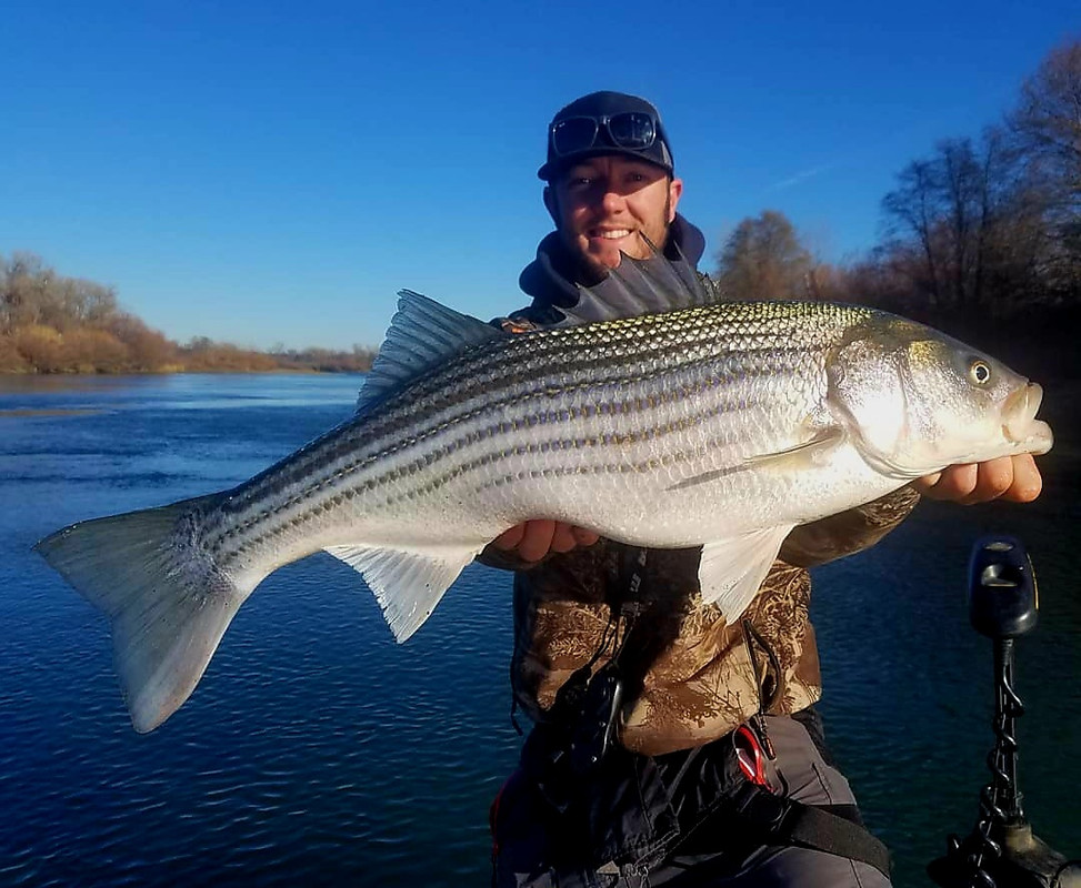 Screenshot_20250725_081133_Instagram