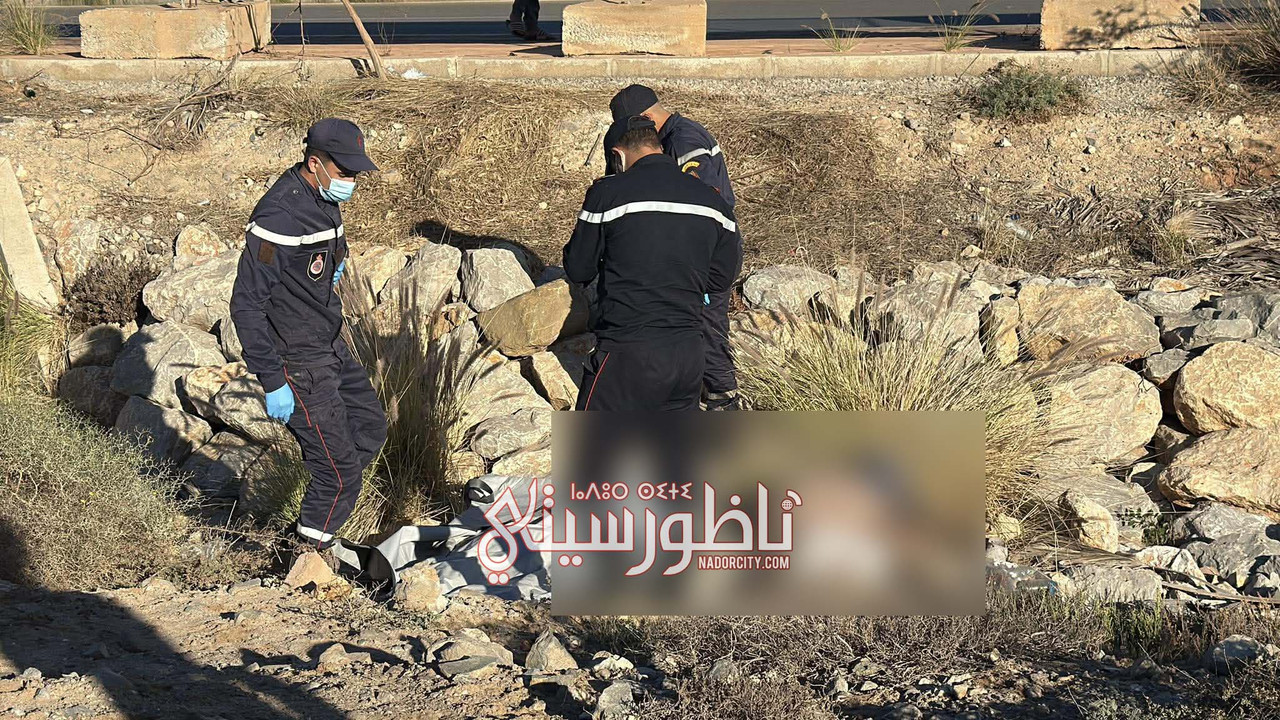 590356594-1471340463973031-8142440214226475747-n