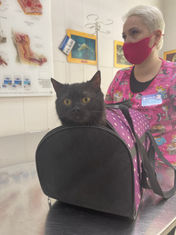 1993CE7A-0E14-4241-B293-C1F651B98B09