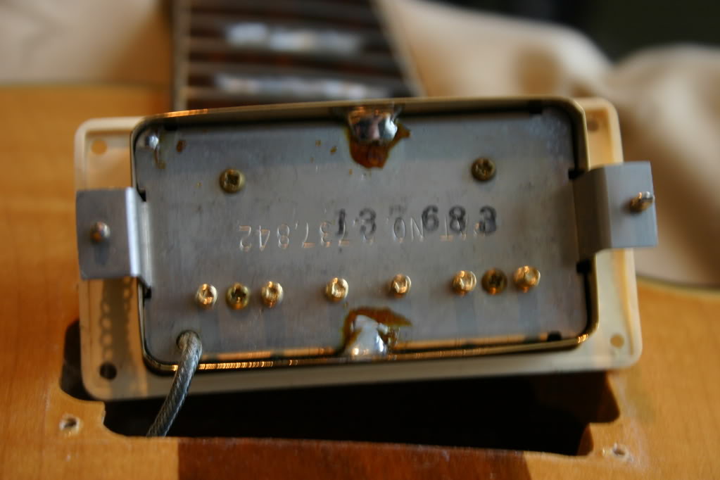 gibson-p Tim-Shaw_83-8