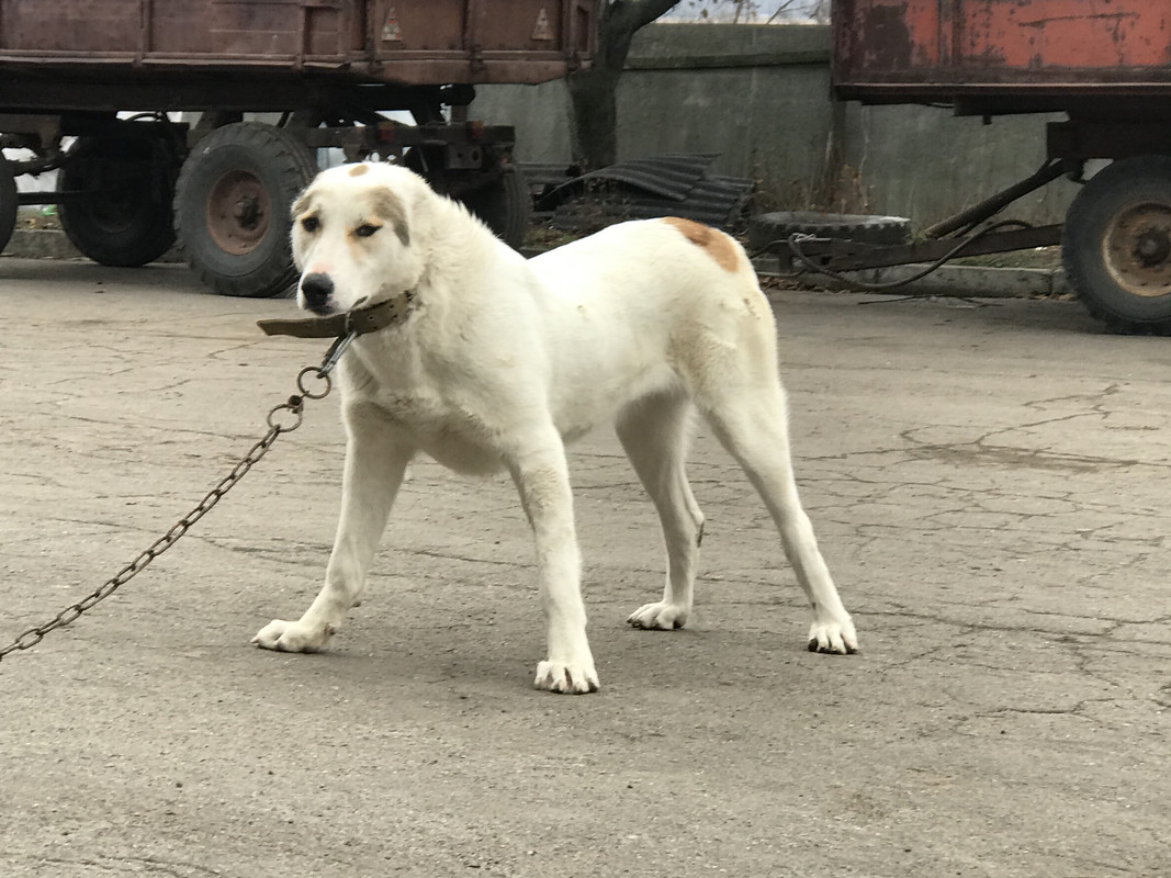 0F9D7FA7-C891-494E-BECD-2BD38387EE5E