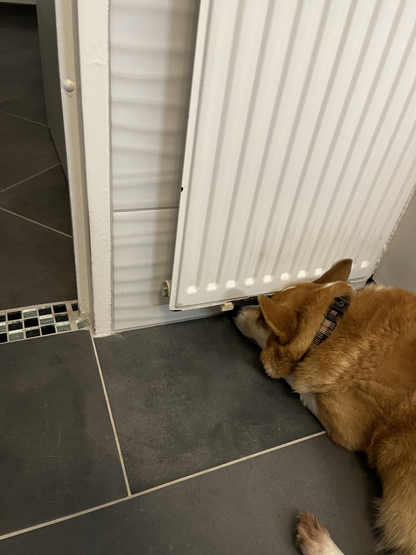 [Image: 83-AB5-EC5-8-A0-B-4-EA4-B370-09770-B1-F7-FD5.jpg]