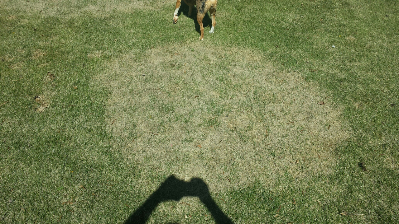 20180404_143600_resized