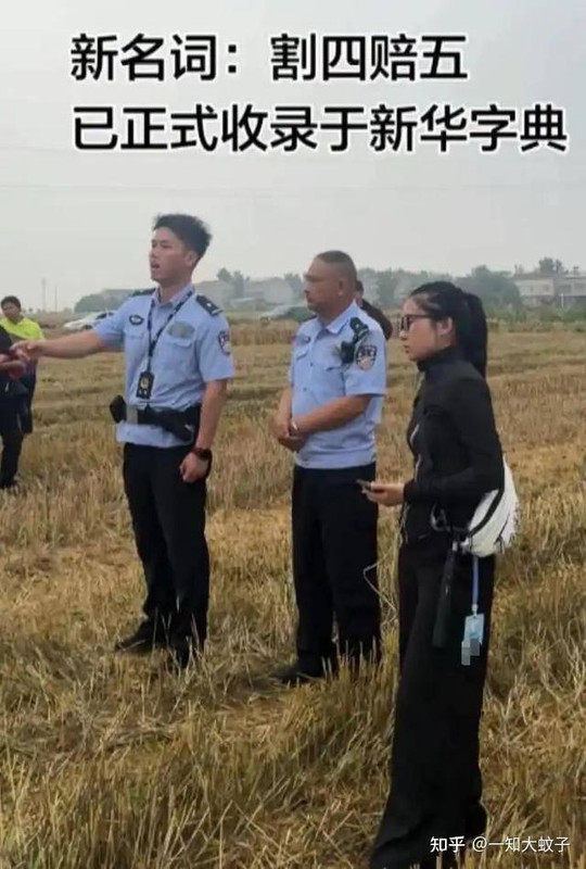 v2 60a5429f565d573ff7839cc4e10f81c0 1440w