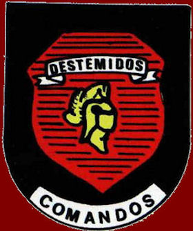 Destemidos