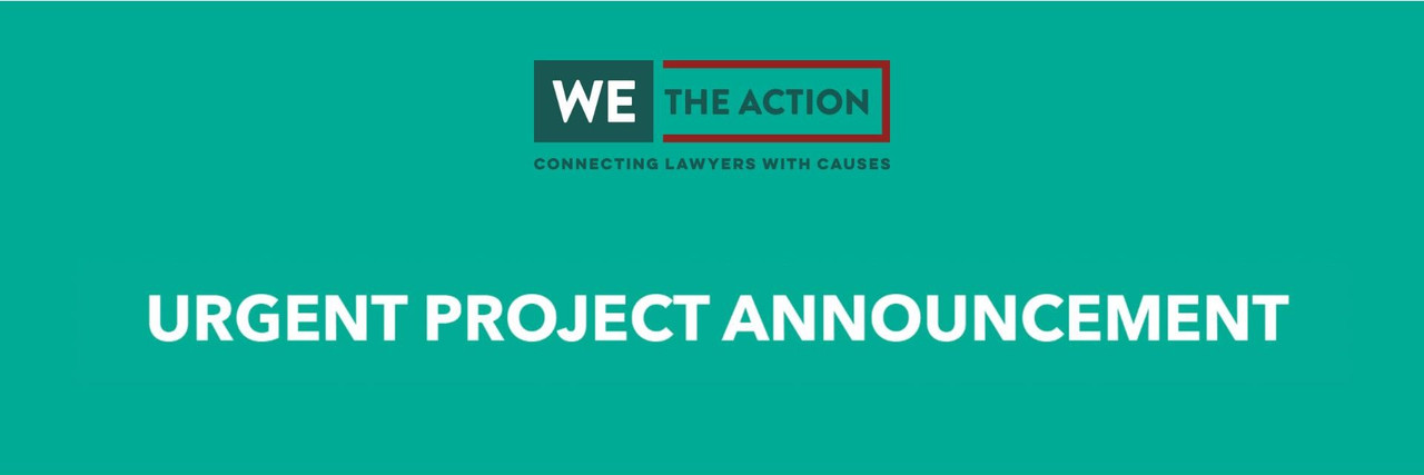 We The Action