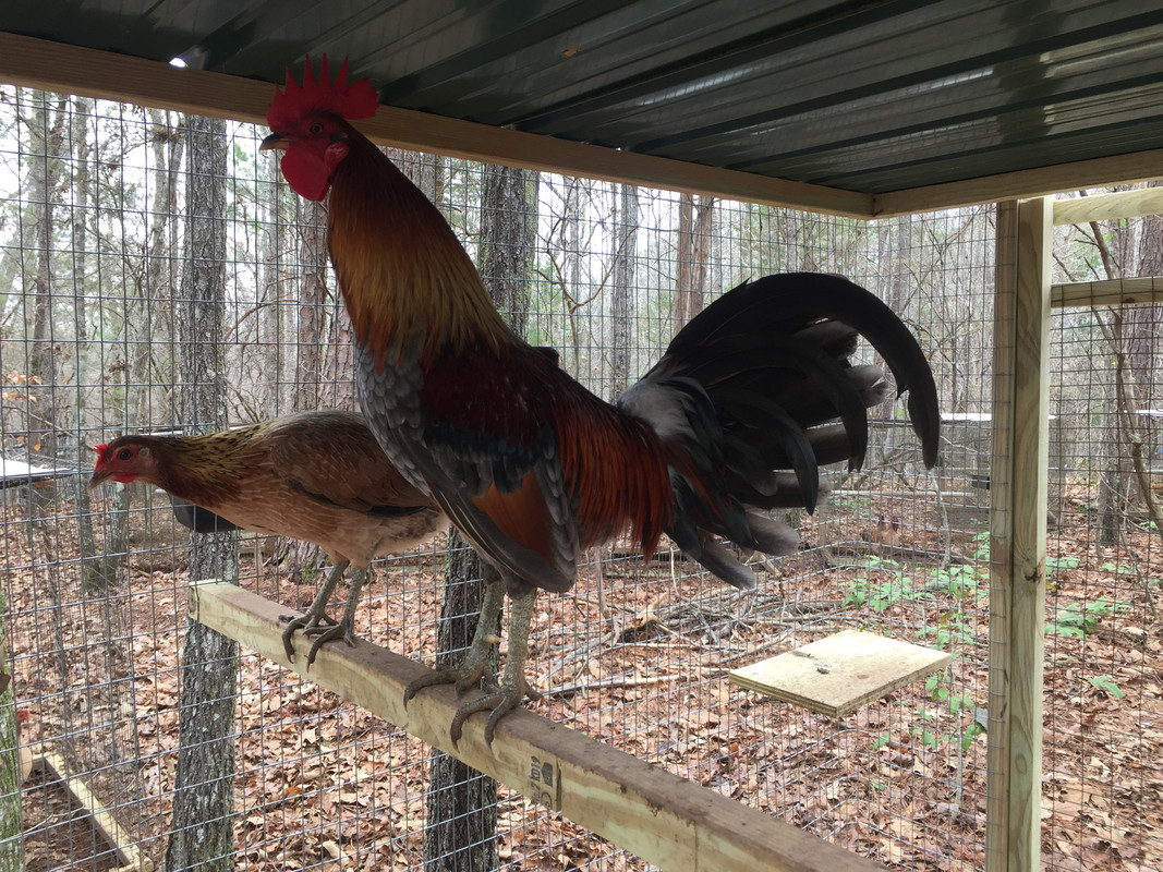 CB72DA9B-13C2-42C8-939A-47173A7FD503