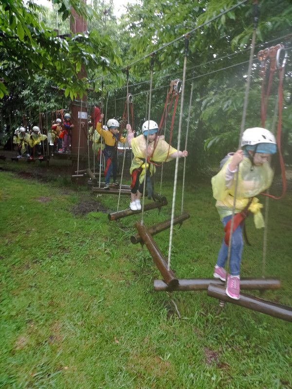 7281ffa5-160a-44da-8256-25f6352f6bd5