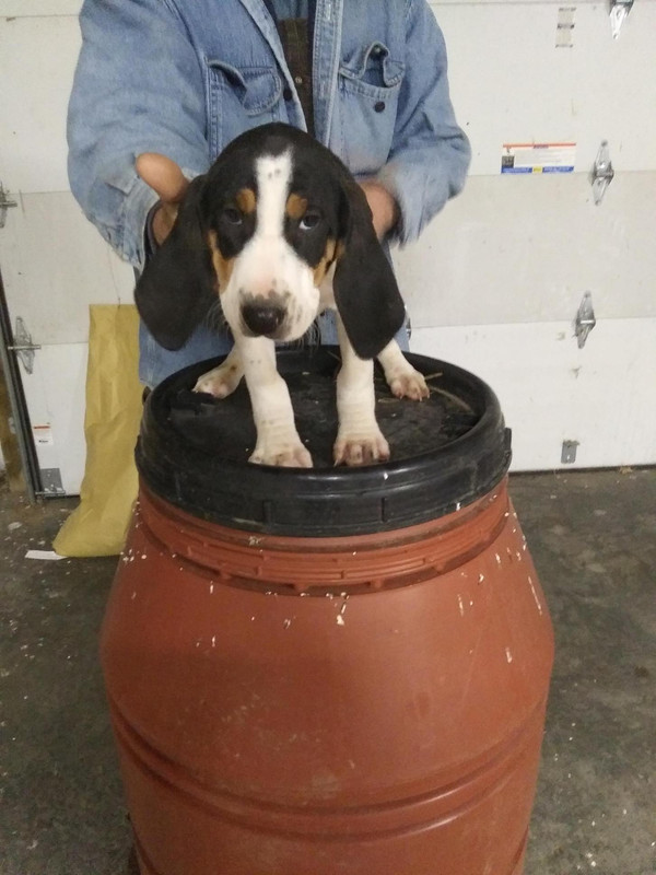 AE788FAB-E1C2-4517-9D4C-BAA521700784