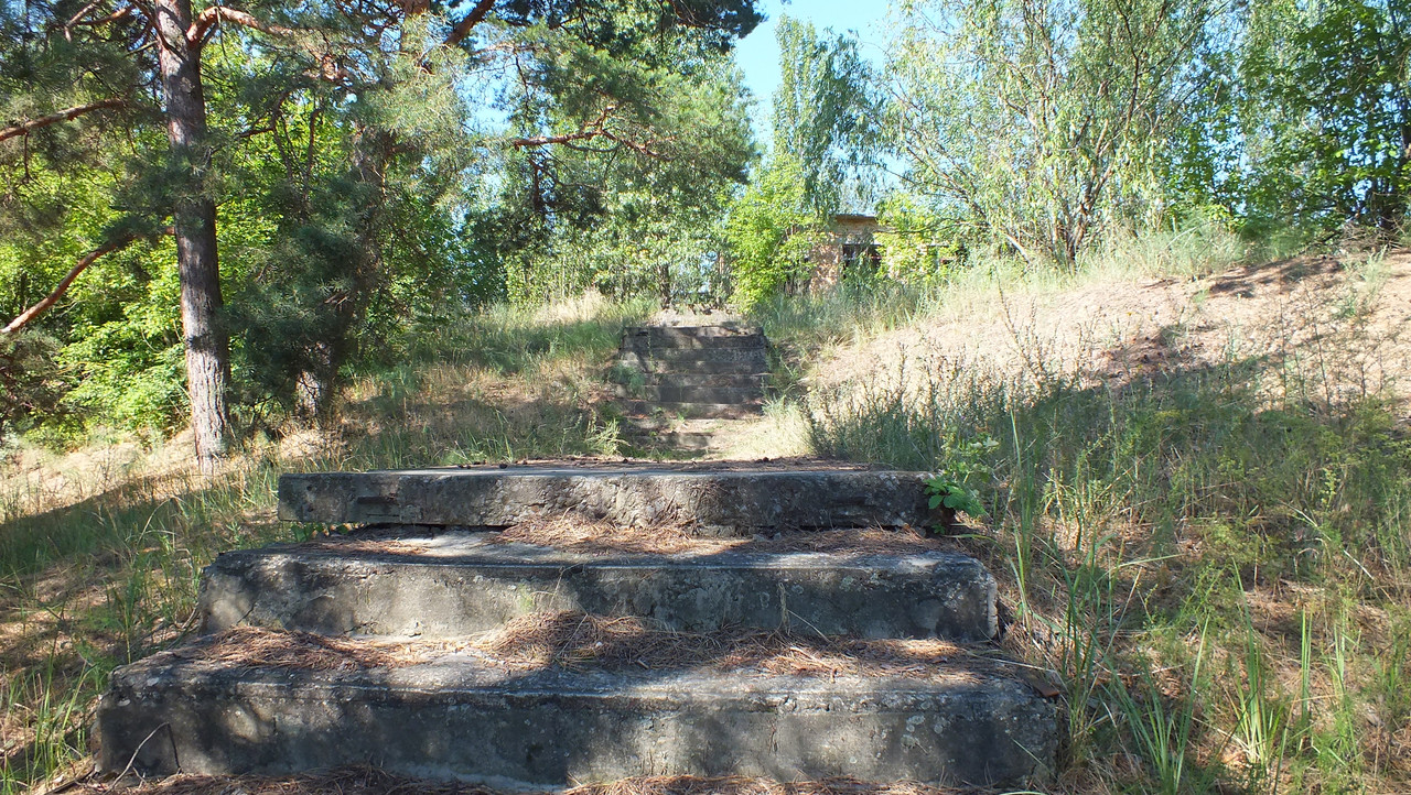 DSCF8810