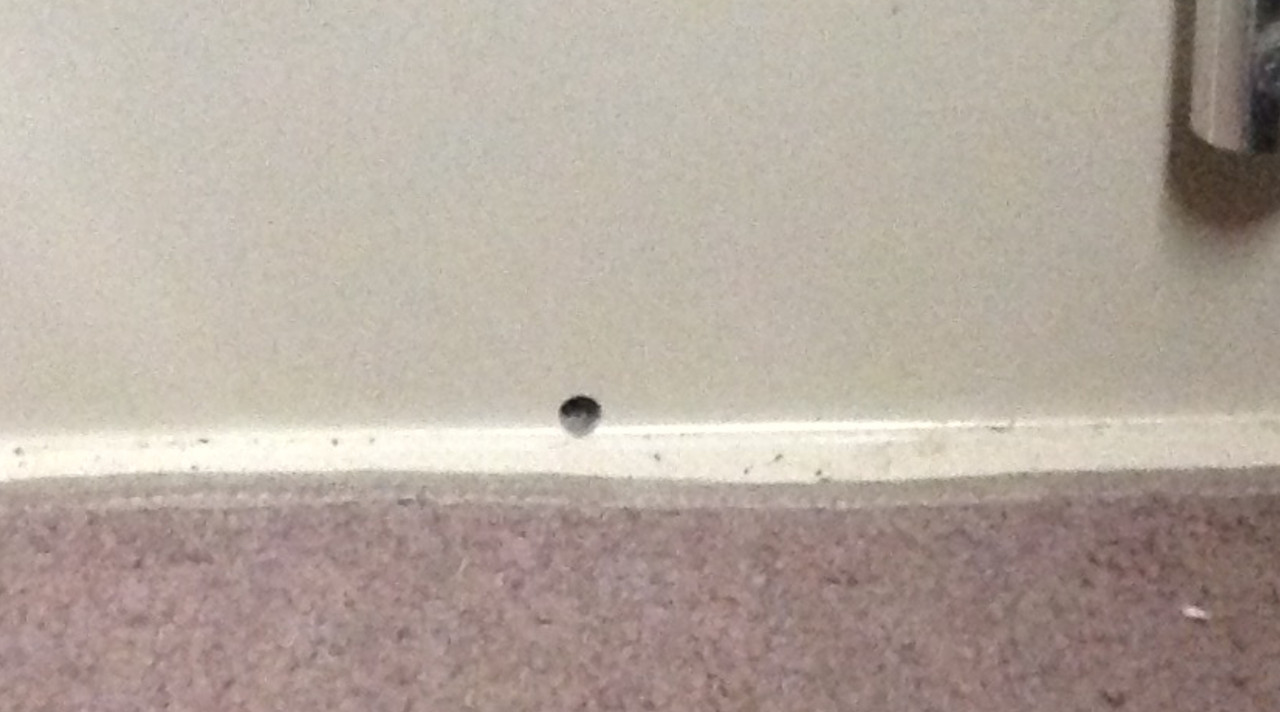 FFEC67E8-D9BB-4BBC-BD93-747DB7A87BA1