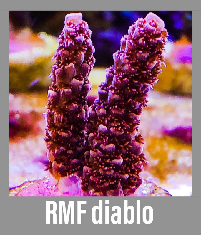 8BE92568-E671-449B-AE11-742E40F49A5C