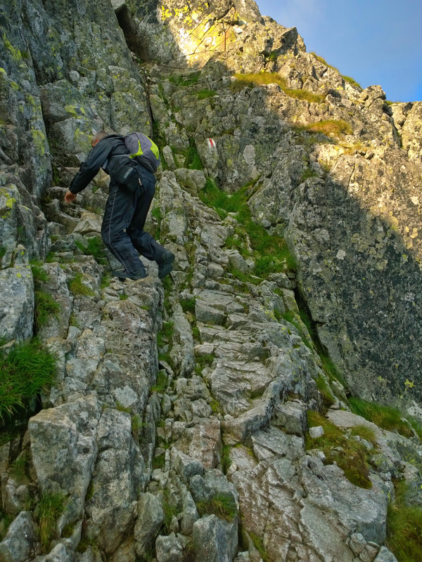 WP_20150725_07_35_22