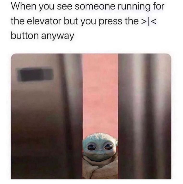 307229493-5951866174832958-7249282777405995738-n