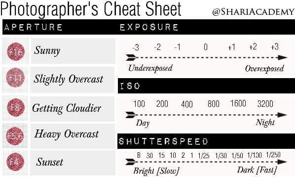36288_505749016116717_1711559580_n