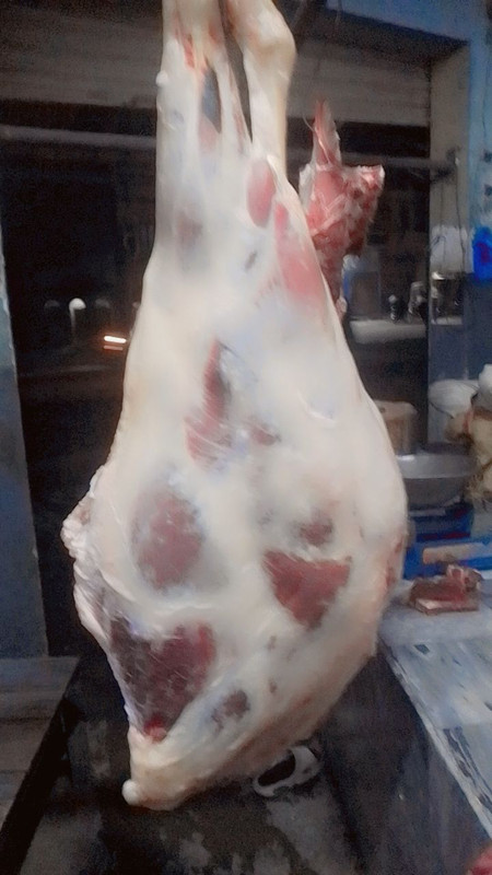 Halal Beef & Veal Hanging Carcass