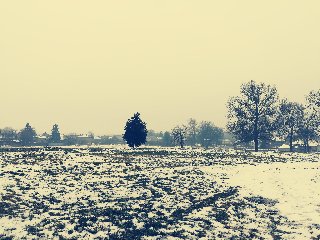 Kép