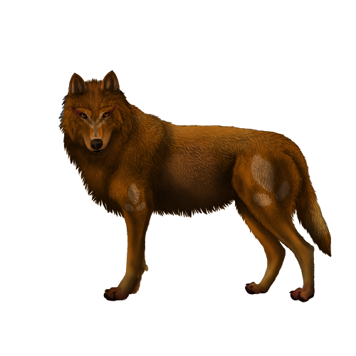 Untitled92-20260715112214.png