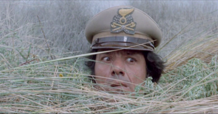 vlcsnap-2018-05-17-18h43m38s042