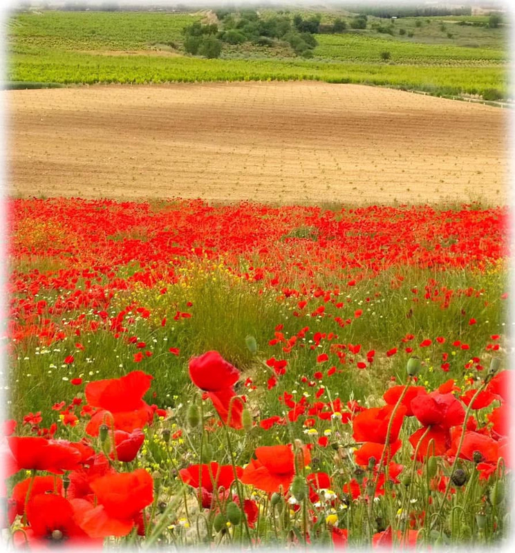 E39B03C6-F899-4DE5-B996-E4D73A81693E