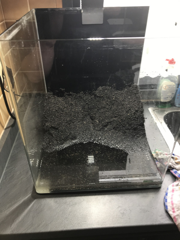 58D87373-67C5-4A9A-BA3F-75B95862B4D2