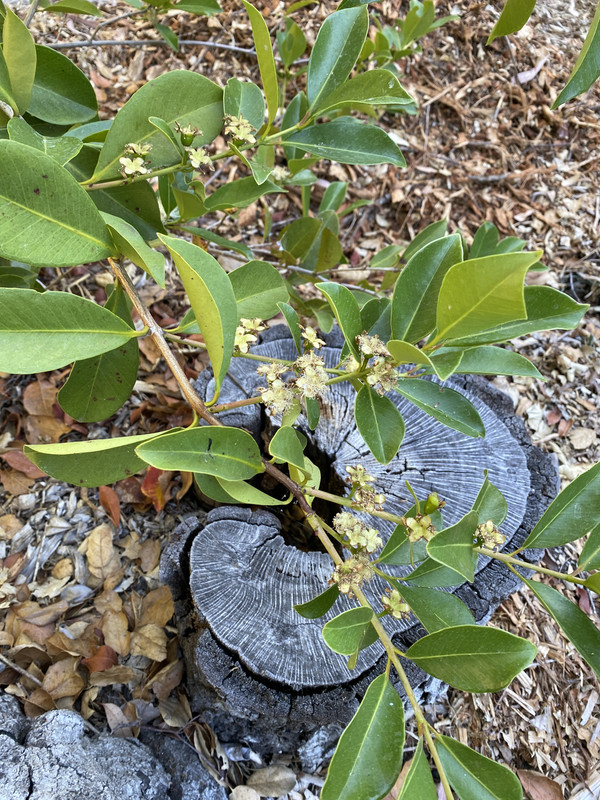 FC3BCF70-92E8-4FB6-829F-CE129A34F501