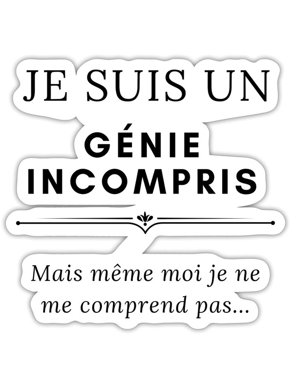 génie incompris
