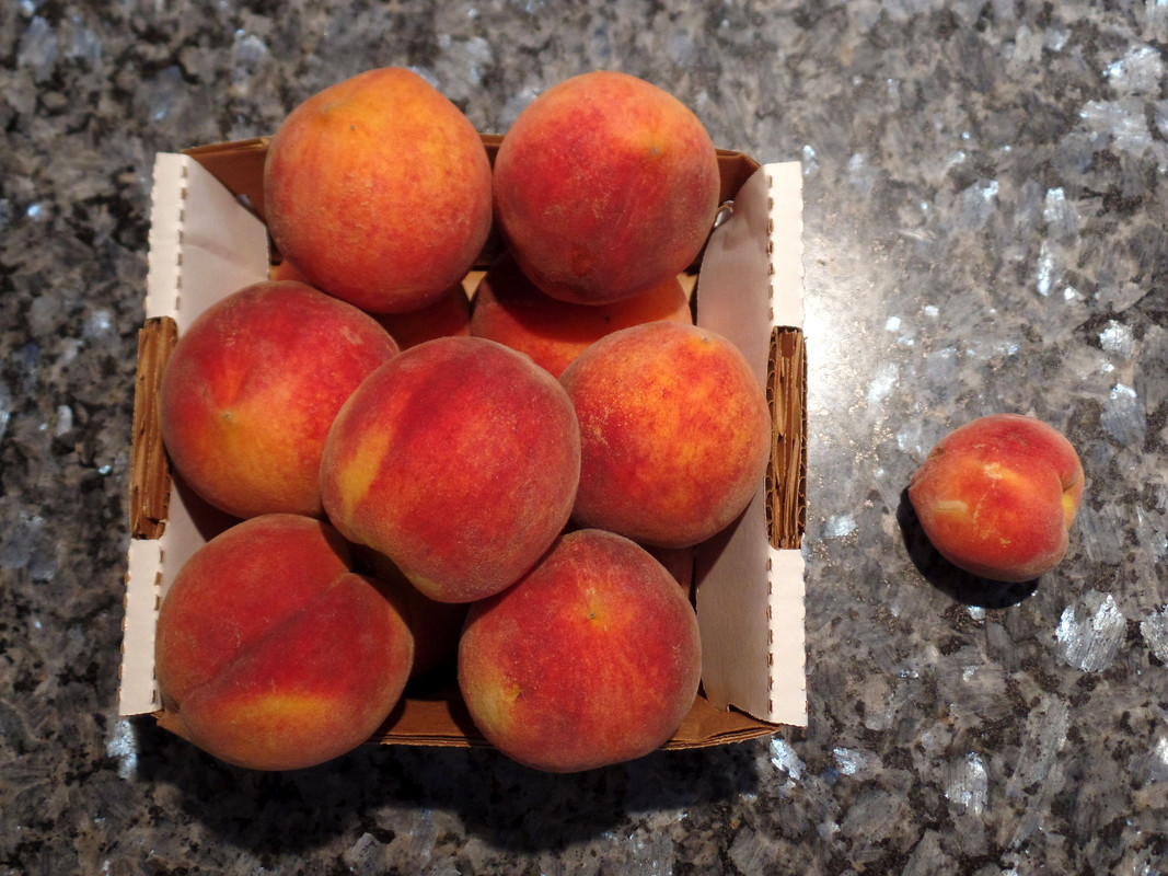 HarvesterPeach#2