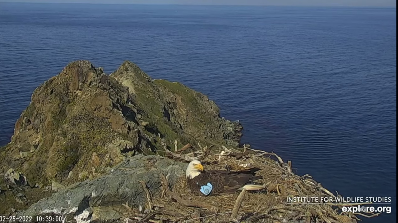 2561CC91-4A06-4866-A0D1-9954F11F84CE