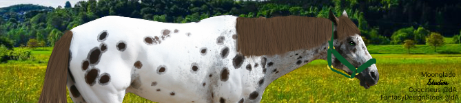 Untitled7-20191230052314.png