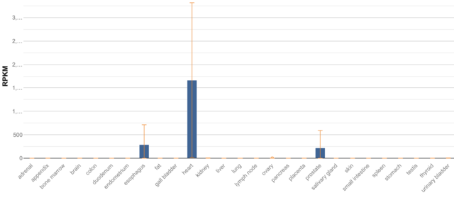 Screen-Shot-2022-03-29-at-13-27-37