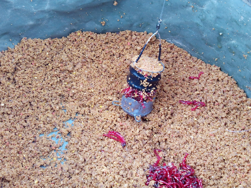 Добрянка 22.02.15 05