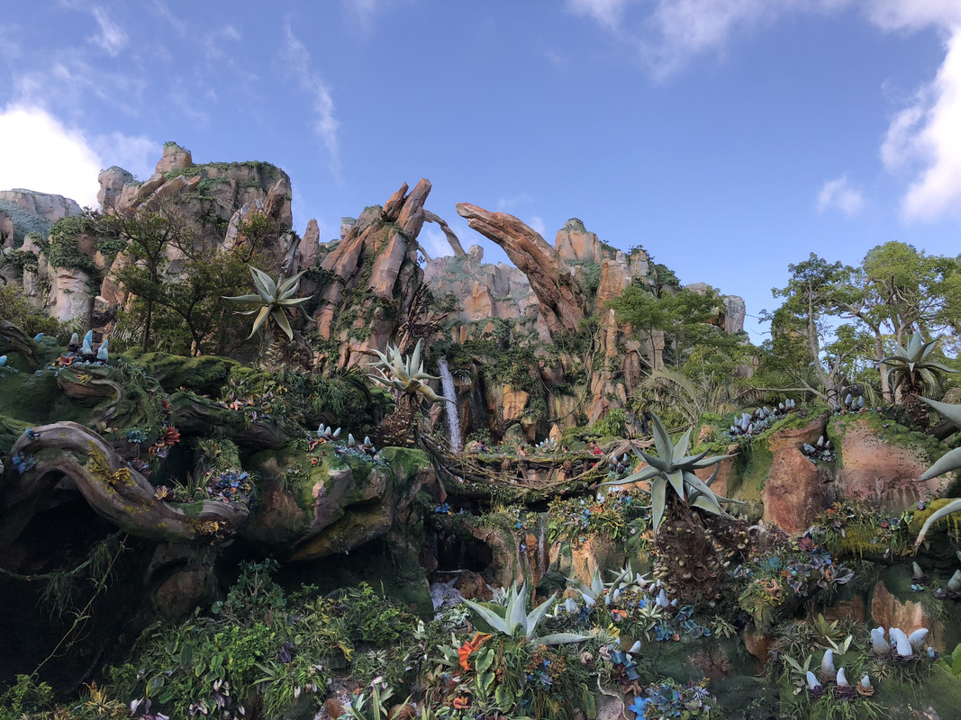 FFC45305-6240-4C63-A4B2-8E14AAE1CB18