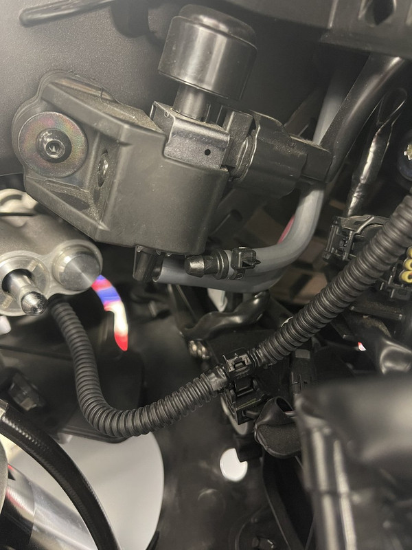 C41C54C5-334F-4CA7-ABA1-A2382D921690