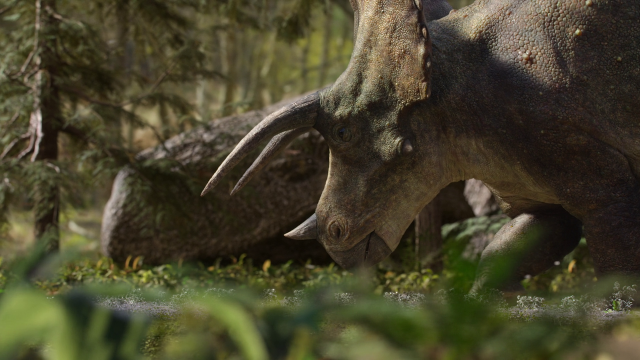 vlcsnap-2023-10-26-20h22m47s436