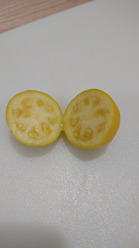 IMG_20240503_180715606