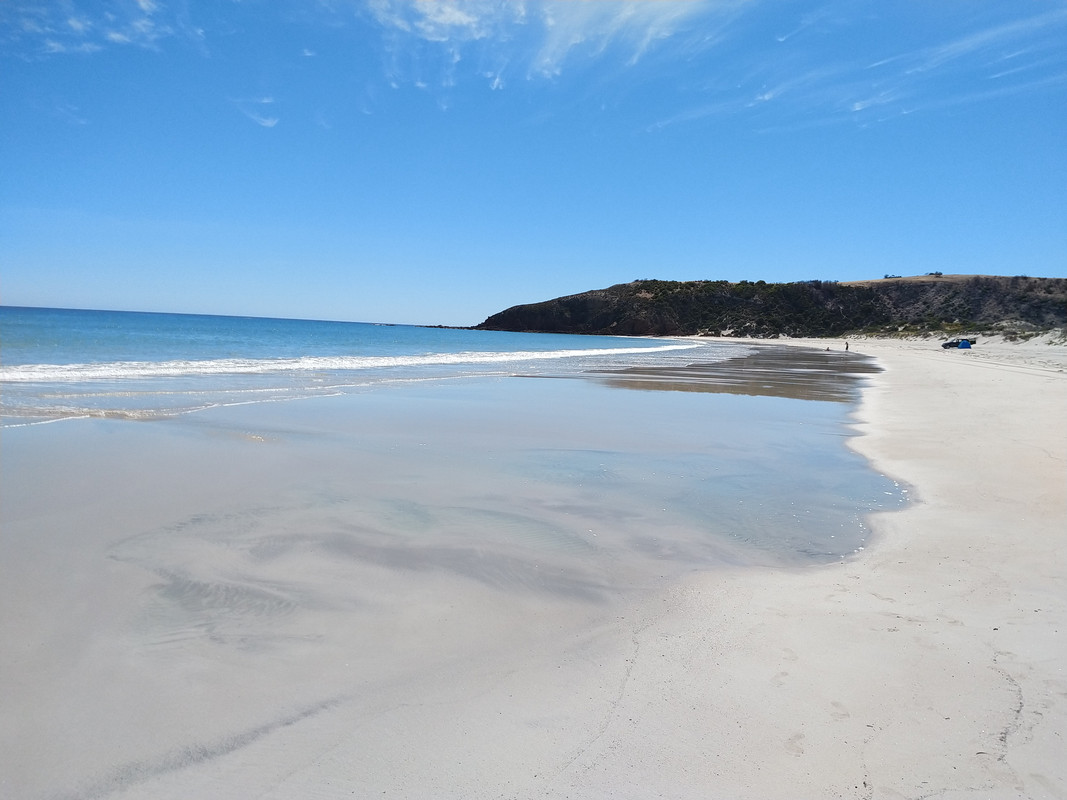 ISLA KANGURO - 3º DIA - AUSTRALIA , "QUE GRAN PAIS" (4)