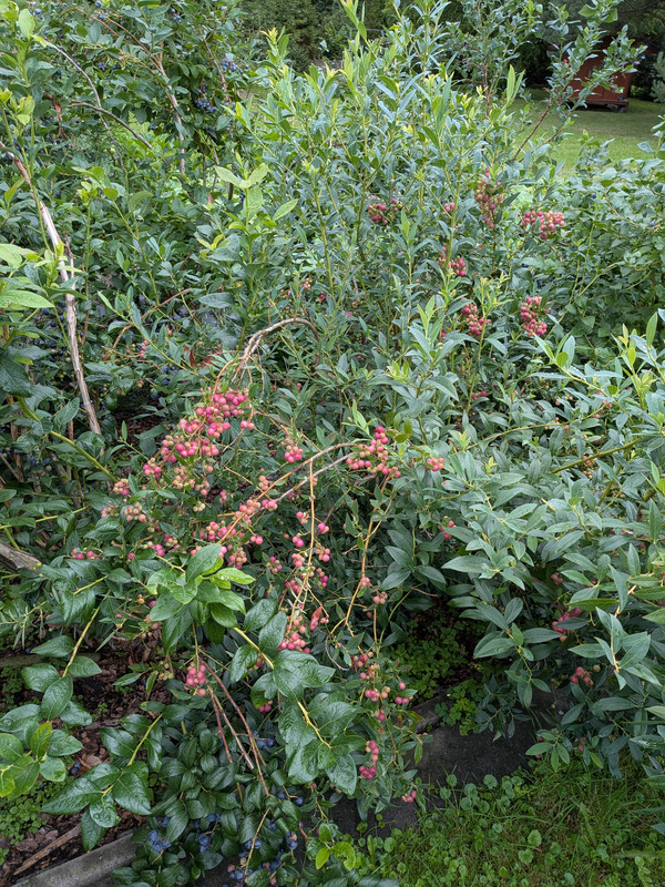 PXL_20250801_144104142