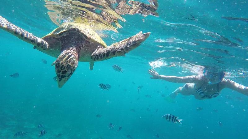 Seychelles-2ª parte de nuestra luna de miel. Se puede pedir más? - Blogs de Seychelles - DÍA 9:  LA DIGUE (7)