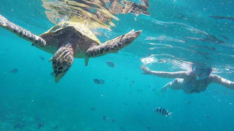 DÍA 9:  LA DIGUE - Seychelles-2ª parte de nuestra luna de miel. Se puede pedir más? (7)