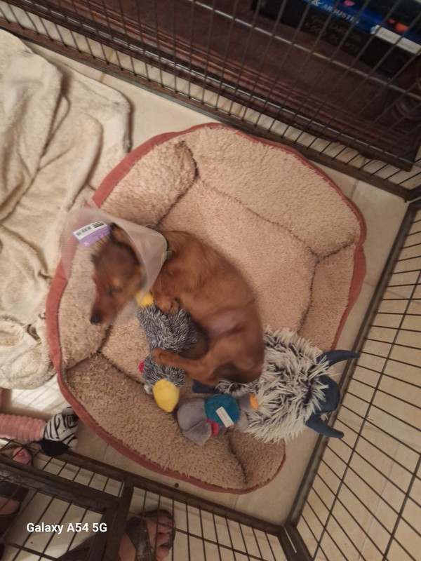 [Image: 20240920-220500.jpg]