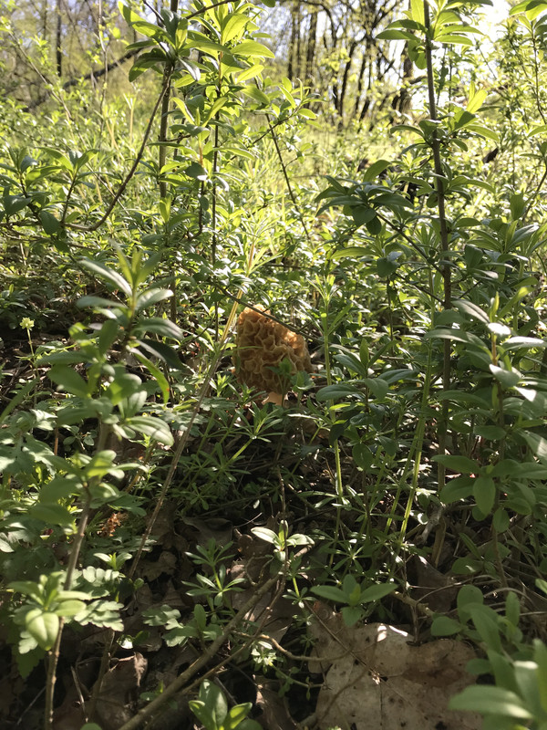 503A3E9E-CB10-4EE6-9376-64E2F2D4A4C4